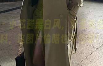 微密圈 – 小芯酱黑白风，没圣光但绝不缺料，这图片偷瞄也不怕呀！