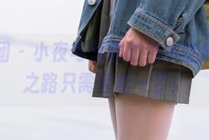 森萝财团 – 小夜与透明的绝妙碰撞，下载之路只需轻松一步！